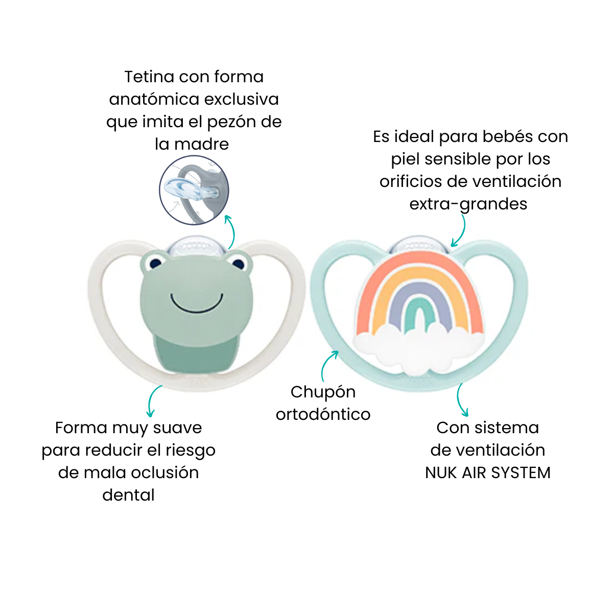 Características