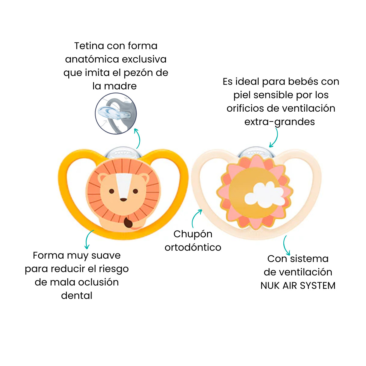 Características