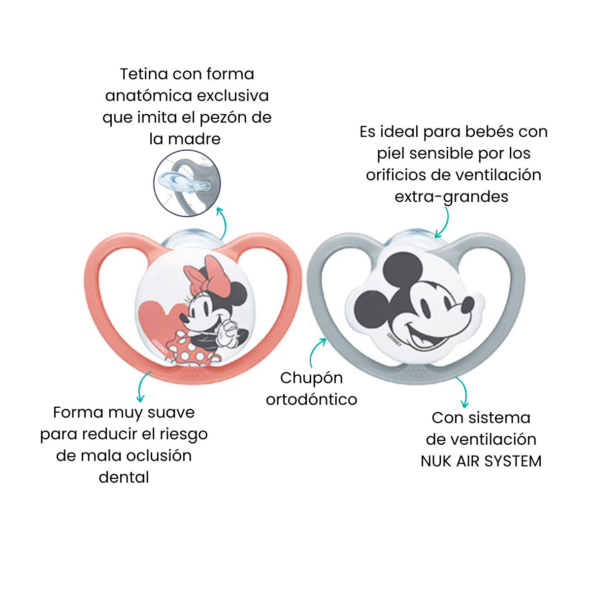 Características