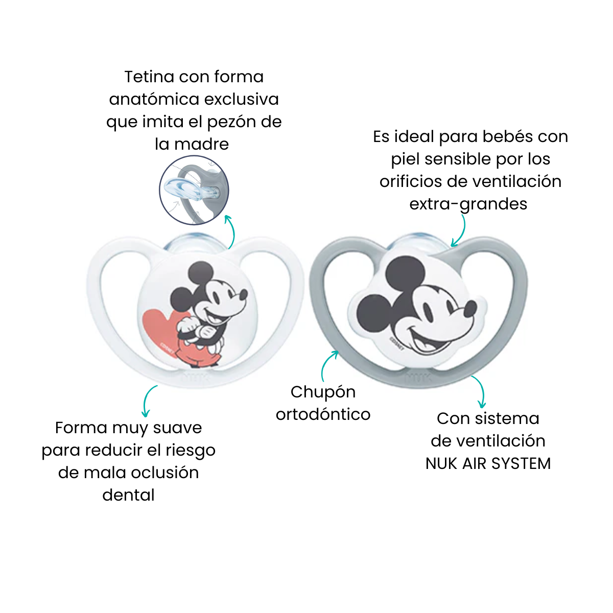Características