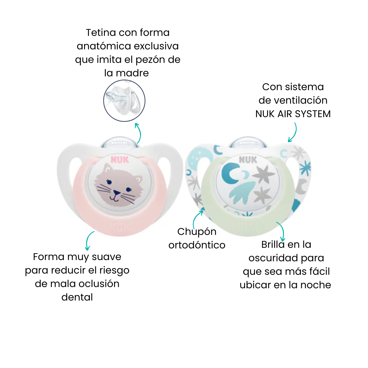 Características