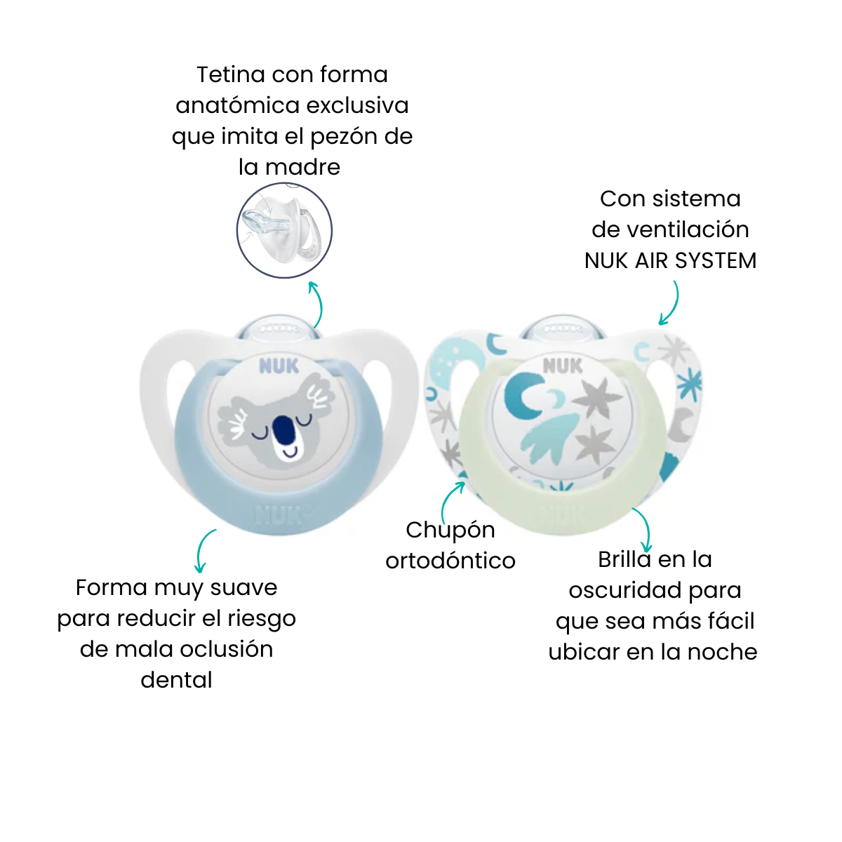 Características