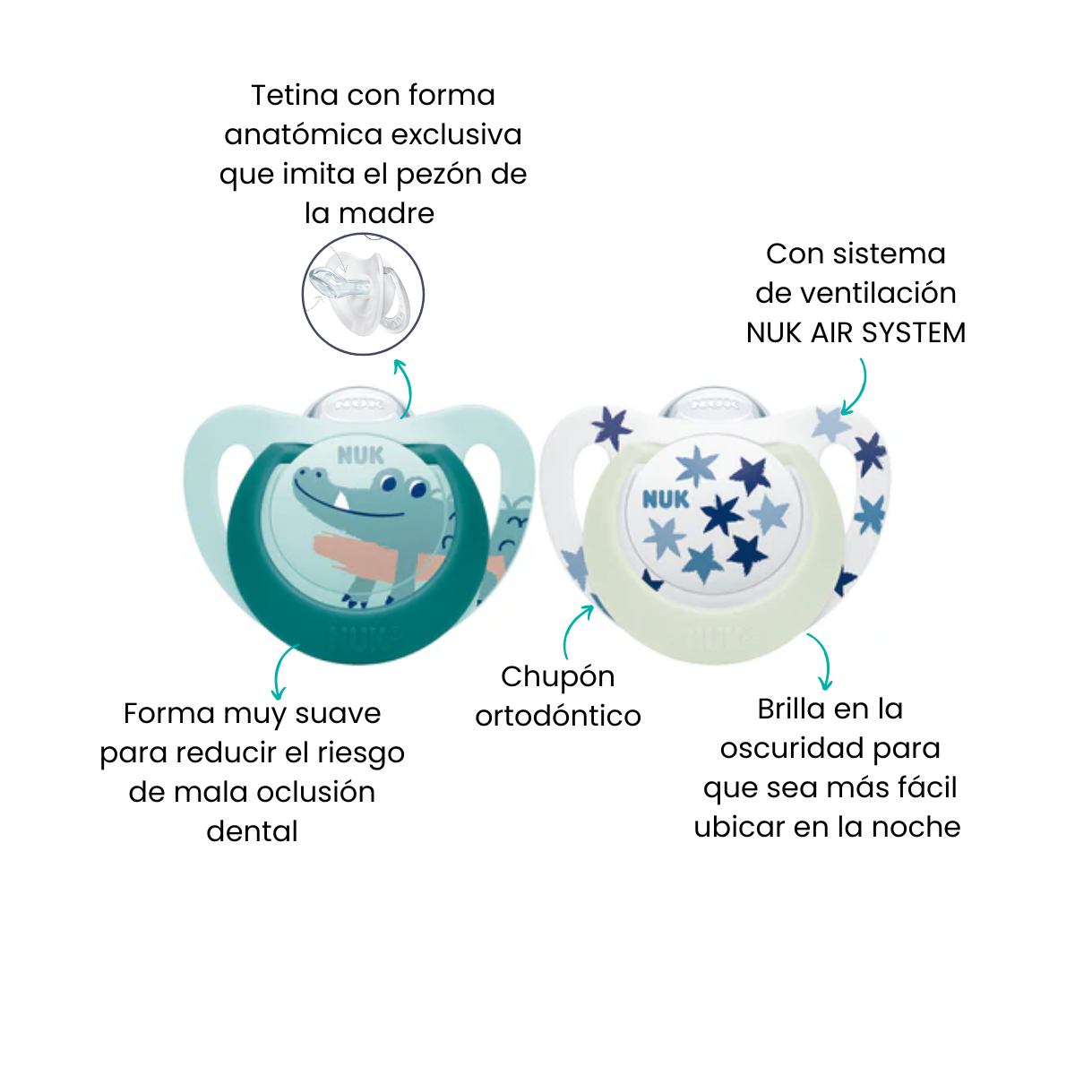 Características