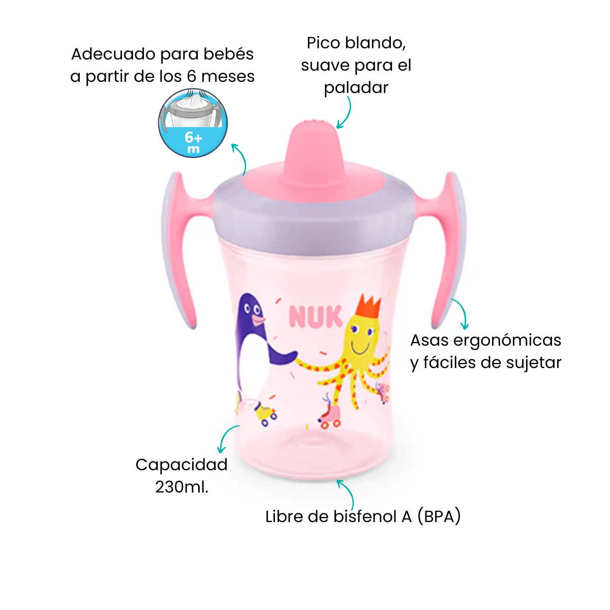Características