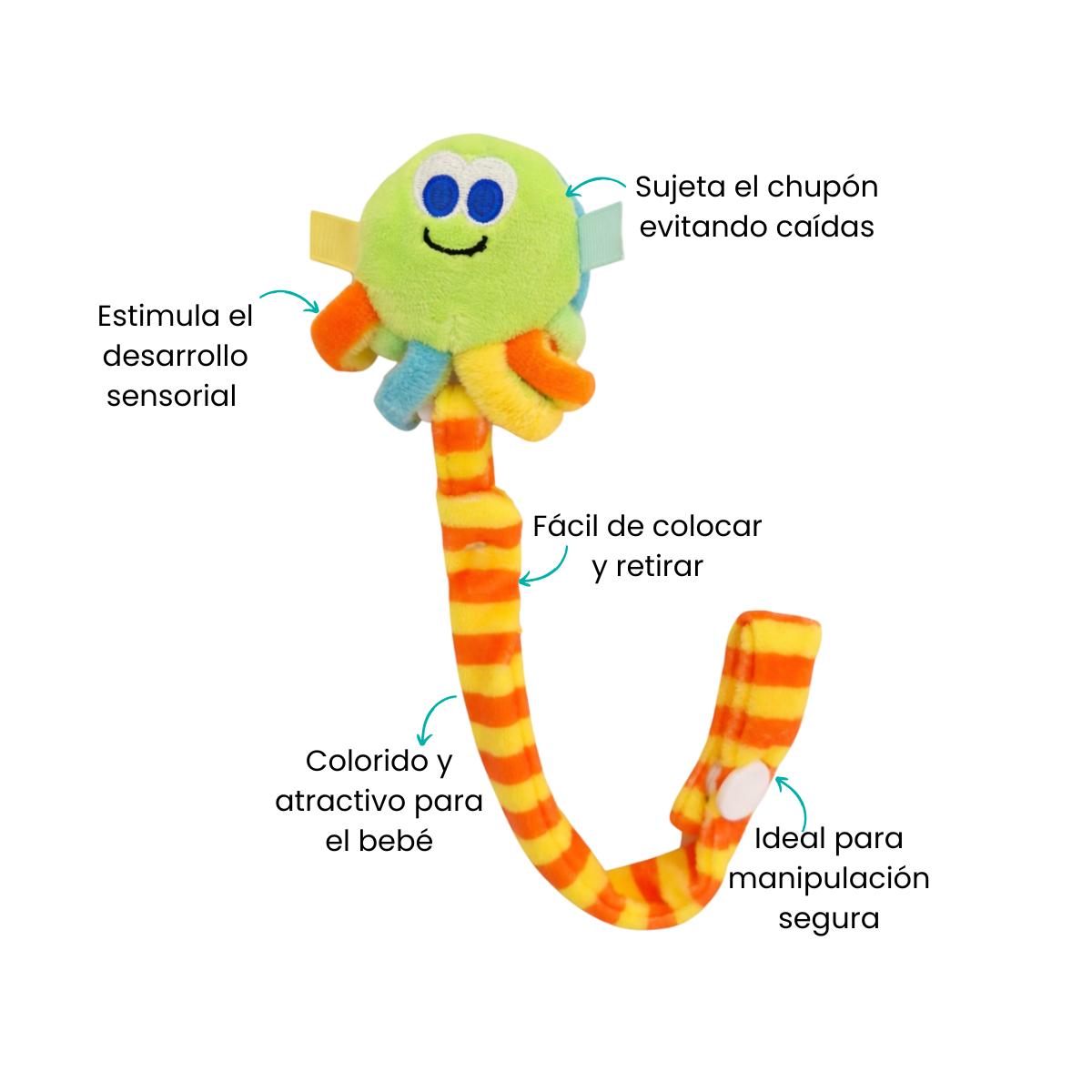 Características