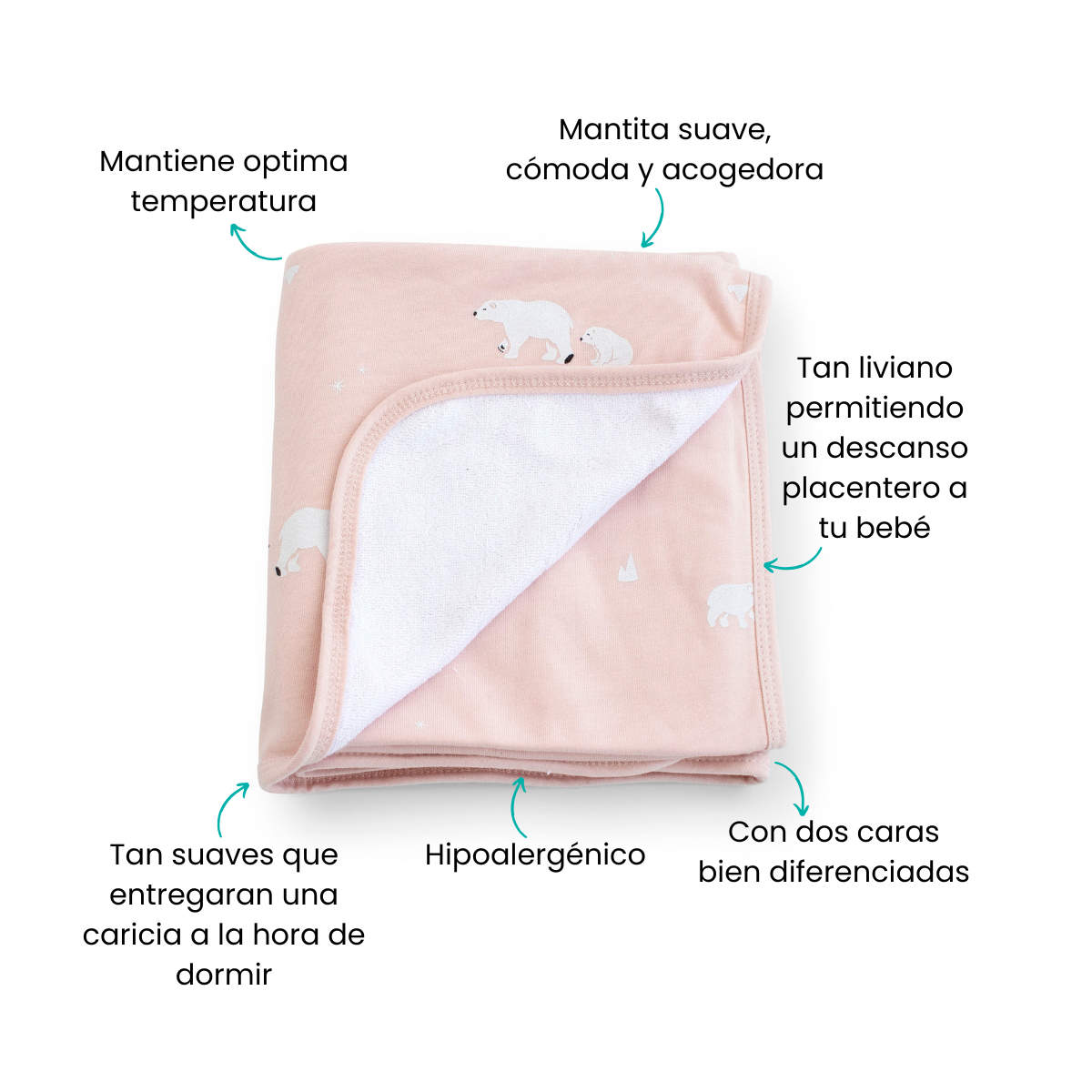 Características