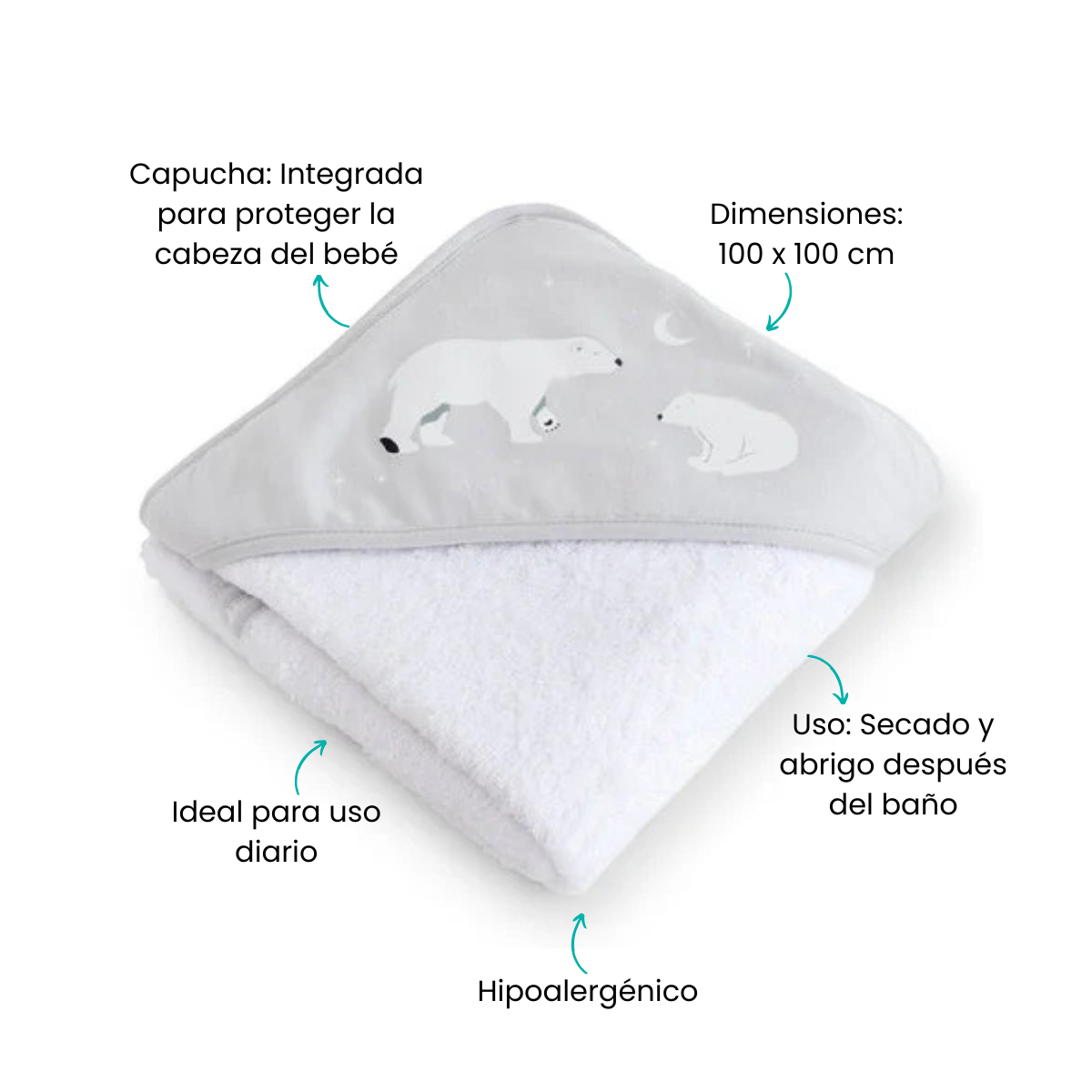 Características