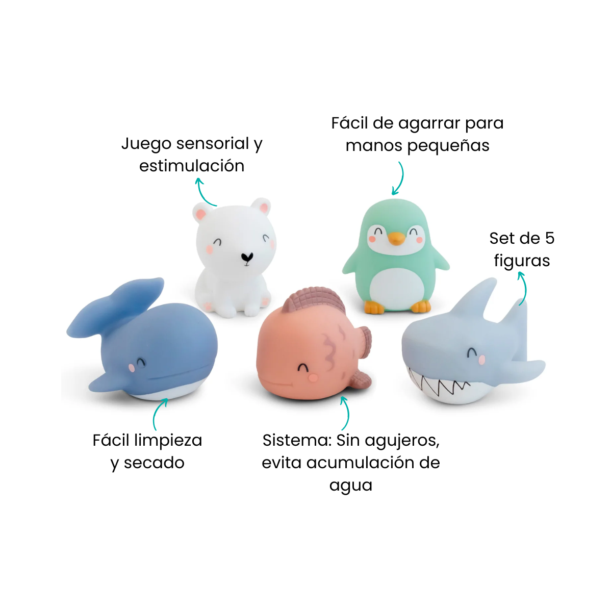 Características