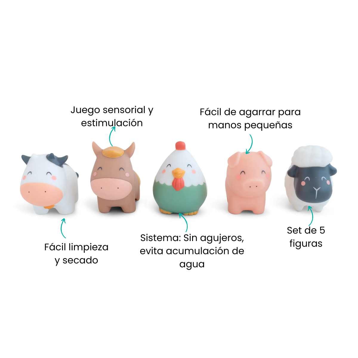 Características
