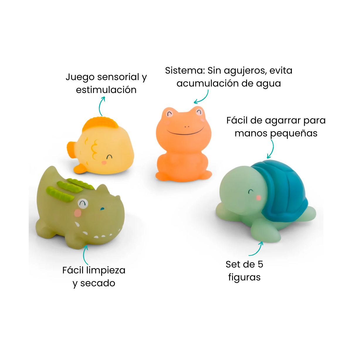 Características
