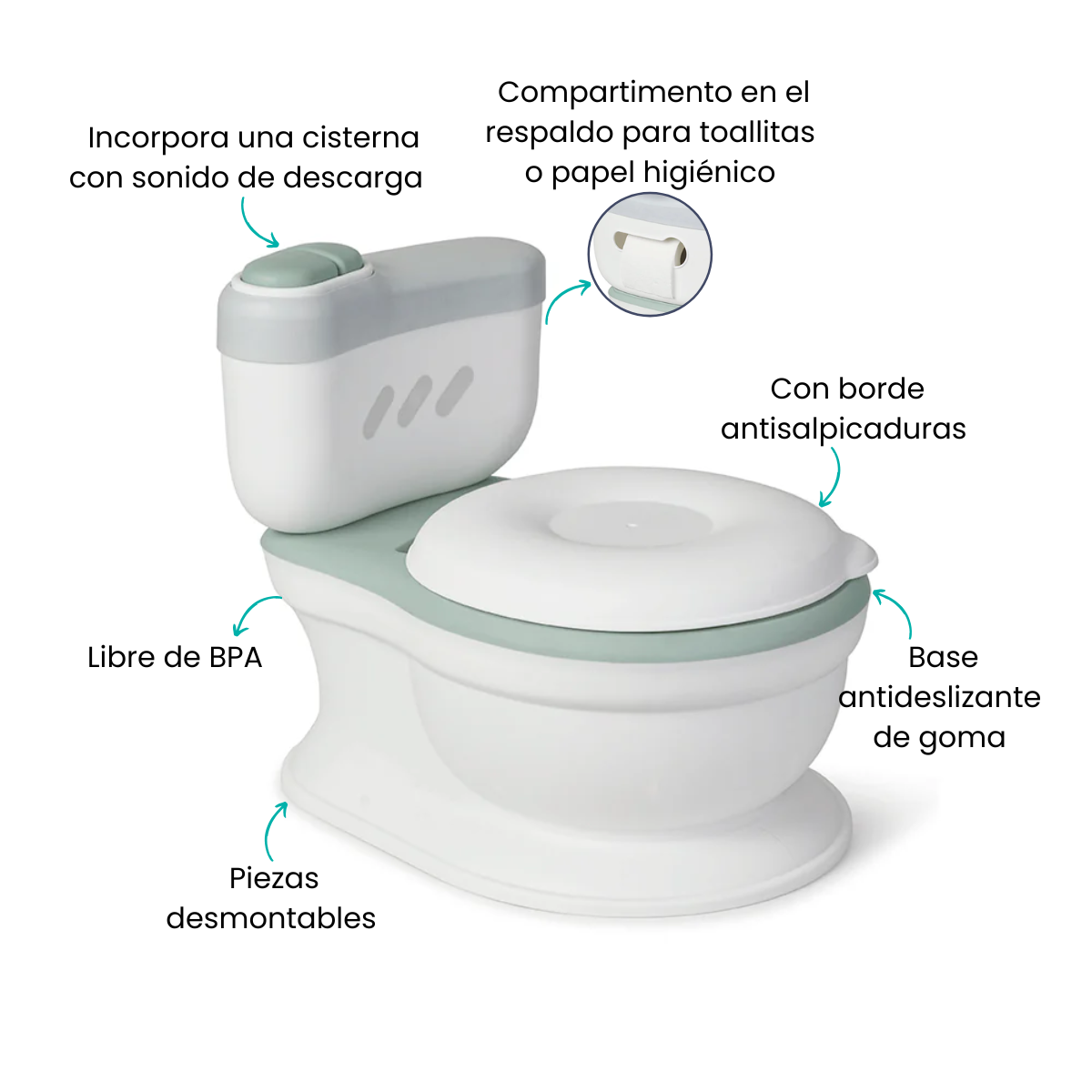 Características