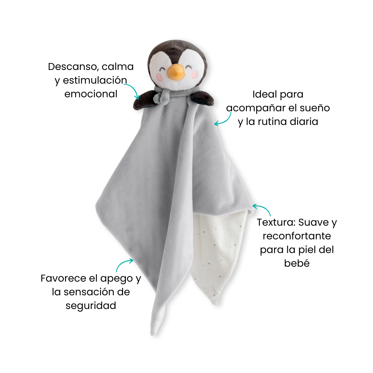Características