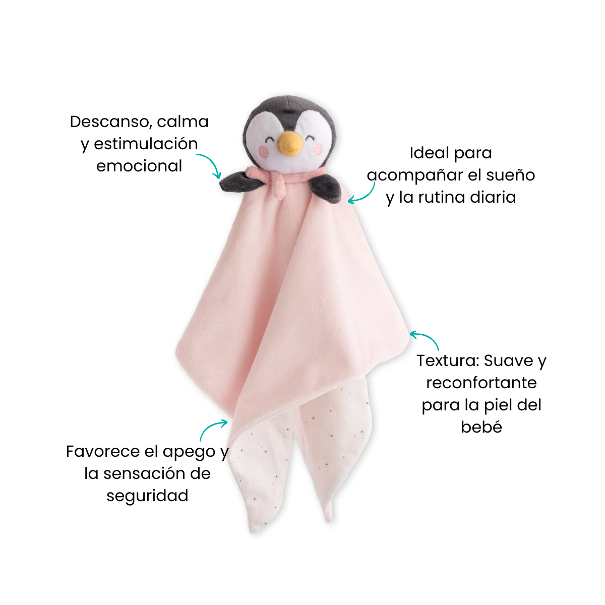 Características