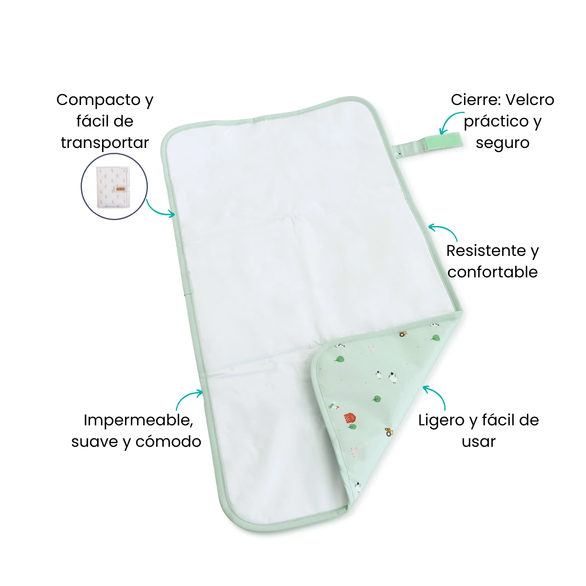Características