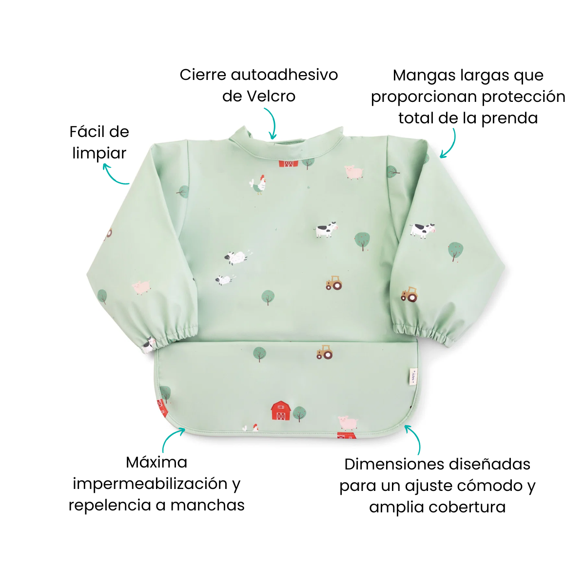 Características