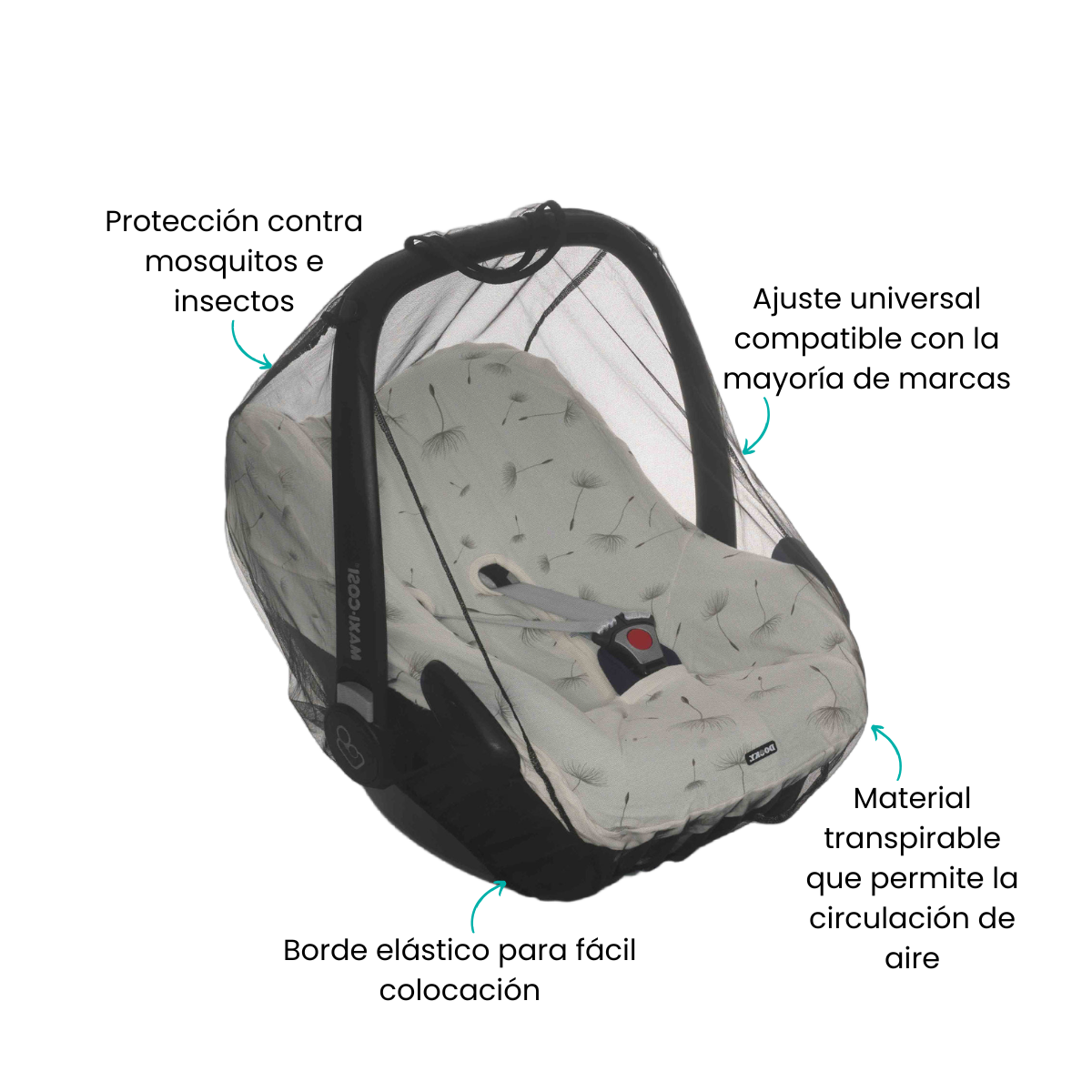 Características
