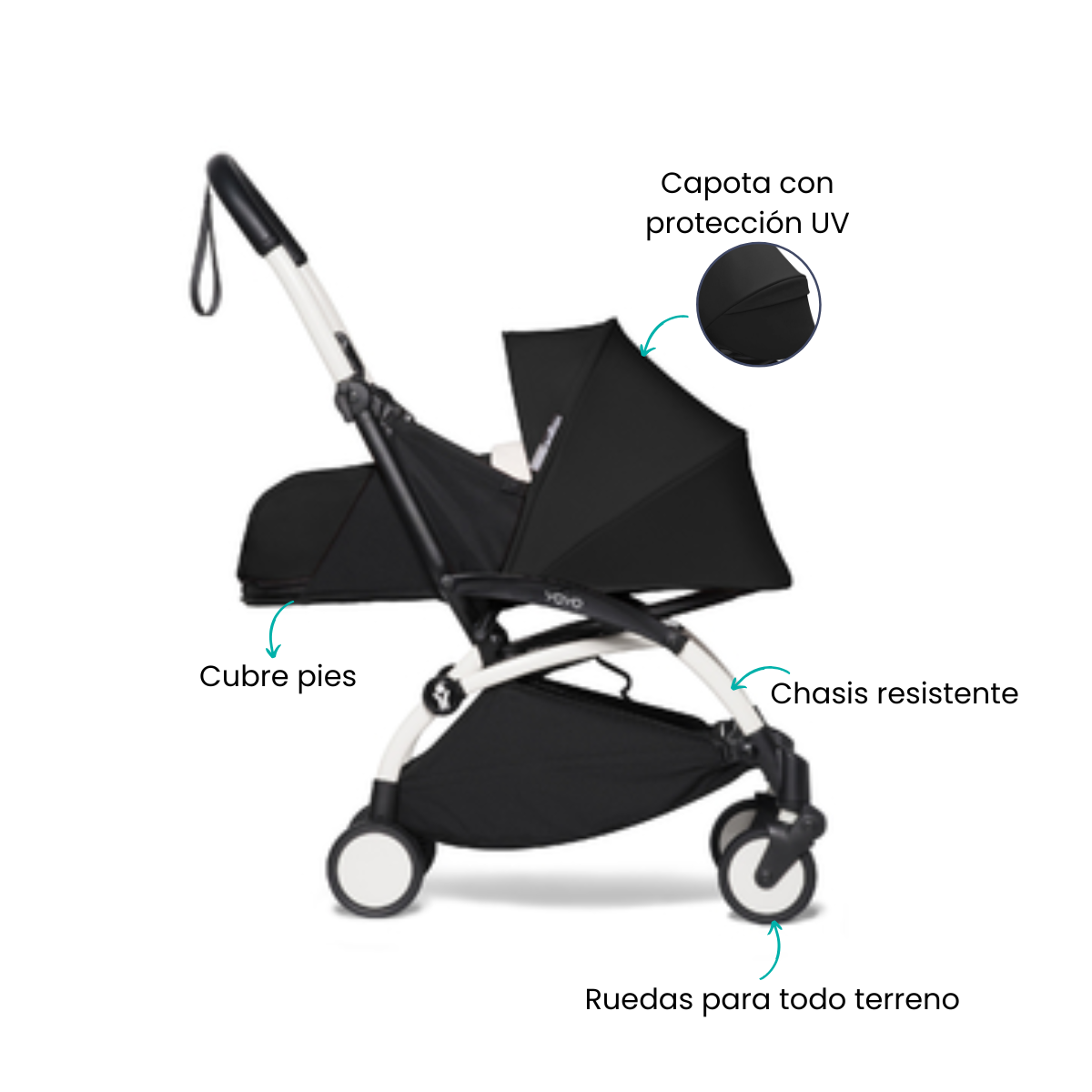 Características