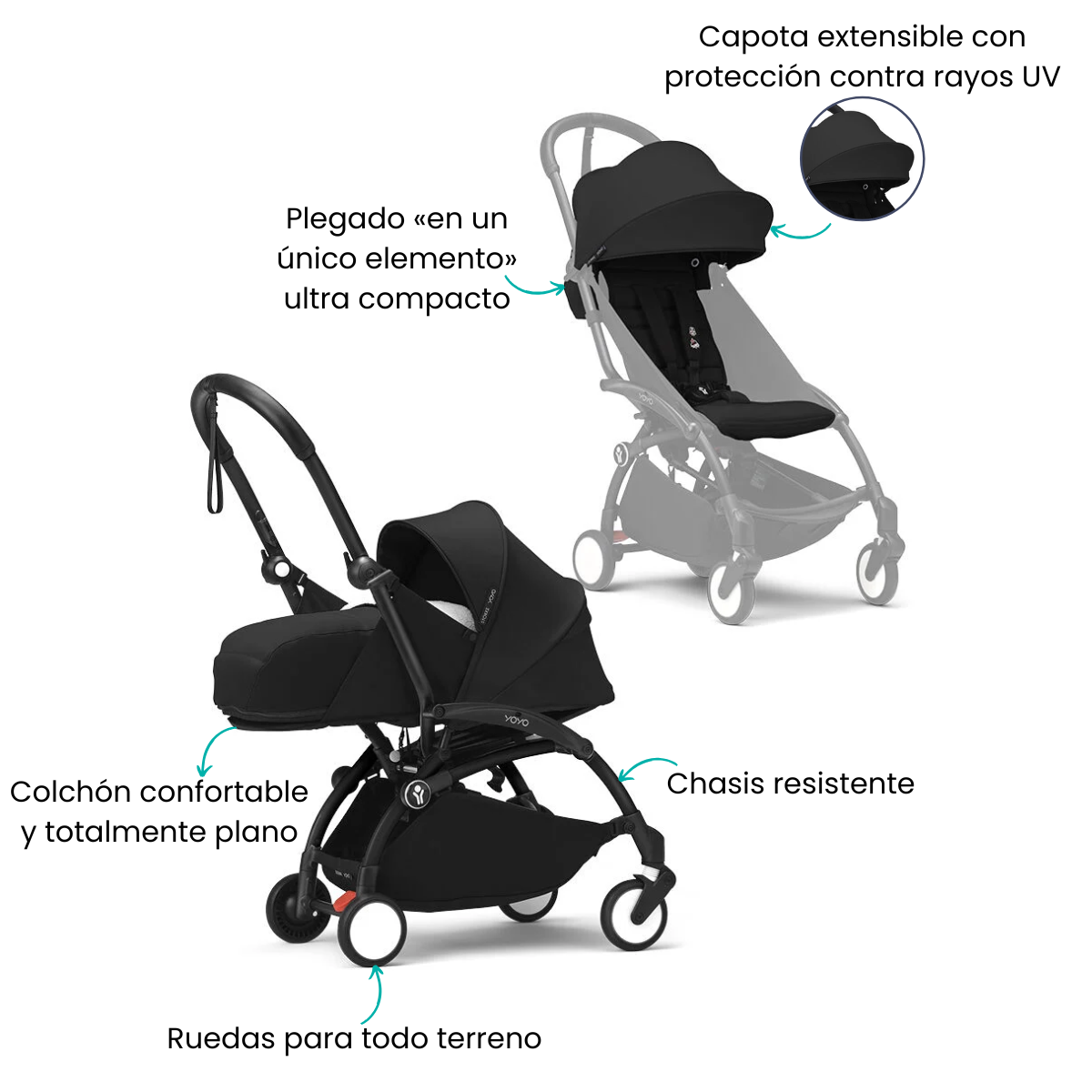Características
