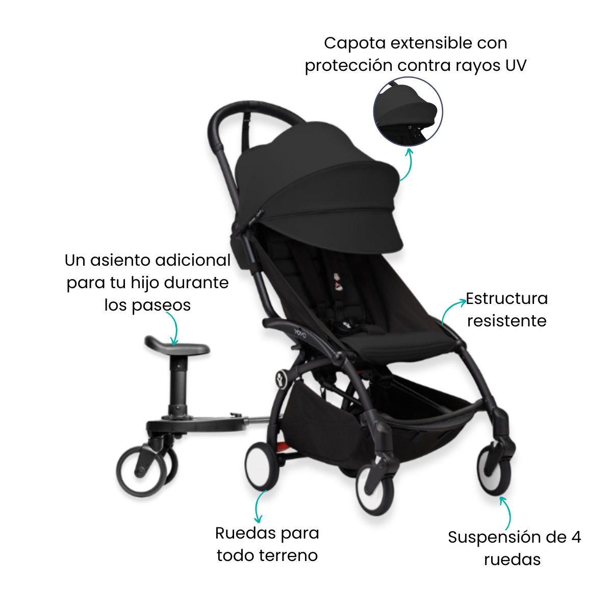 Características