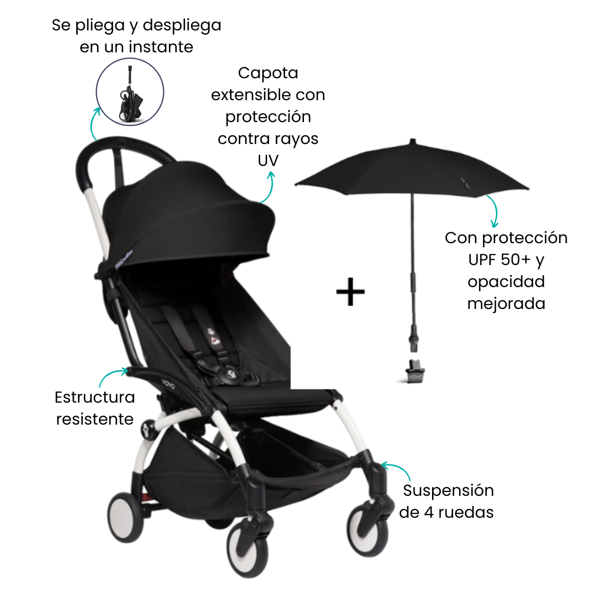 Características
