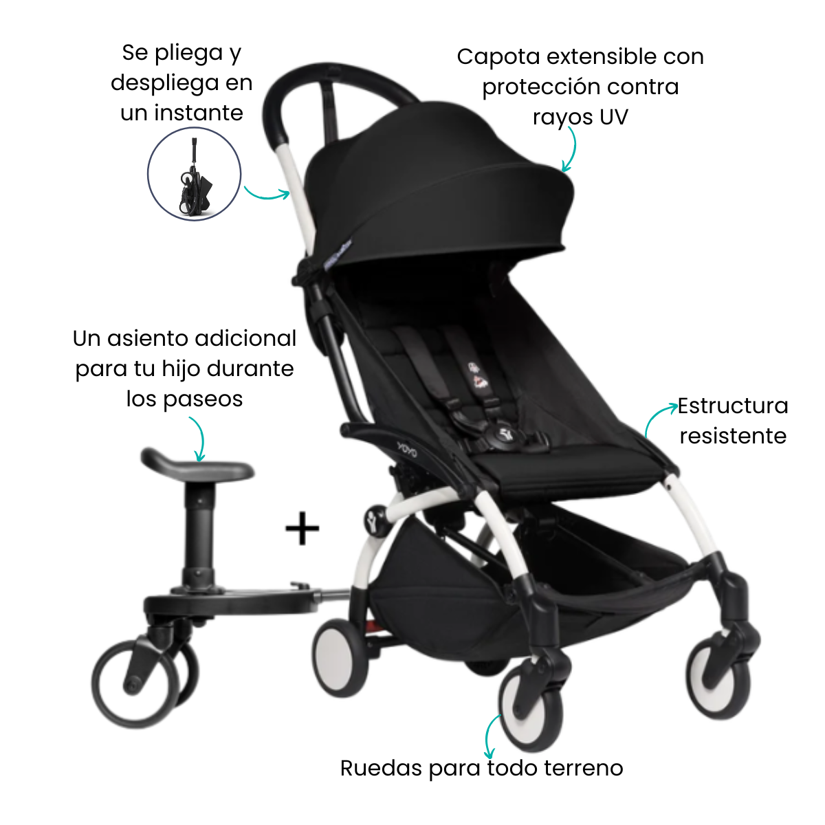 Características