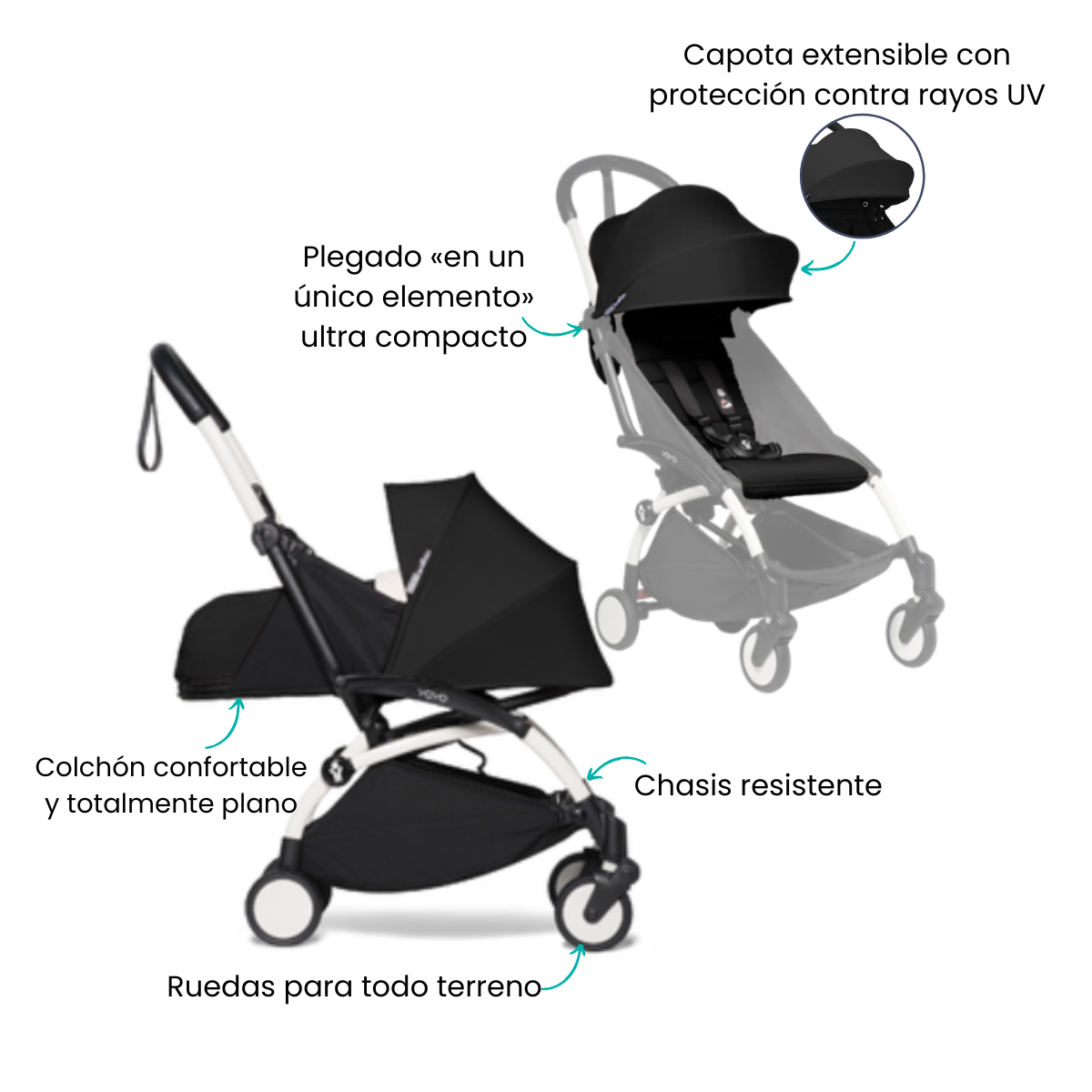 Características
