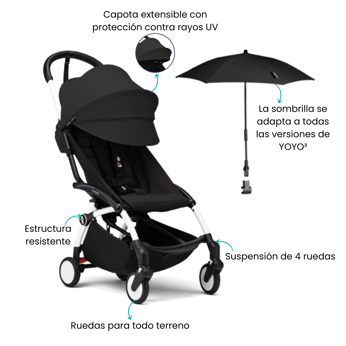Características