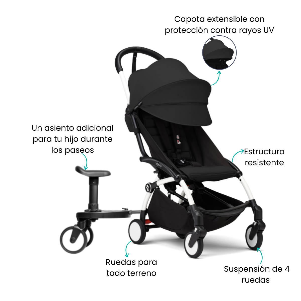 Características