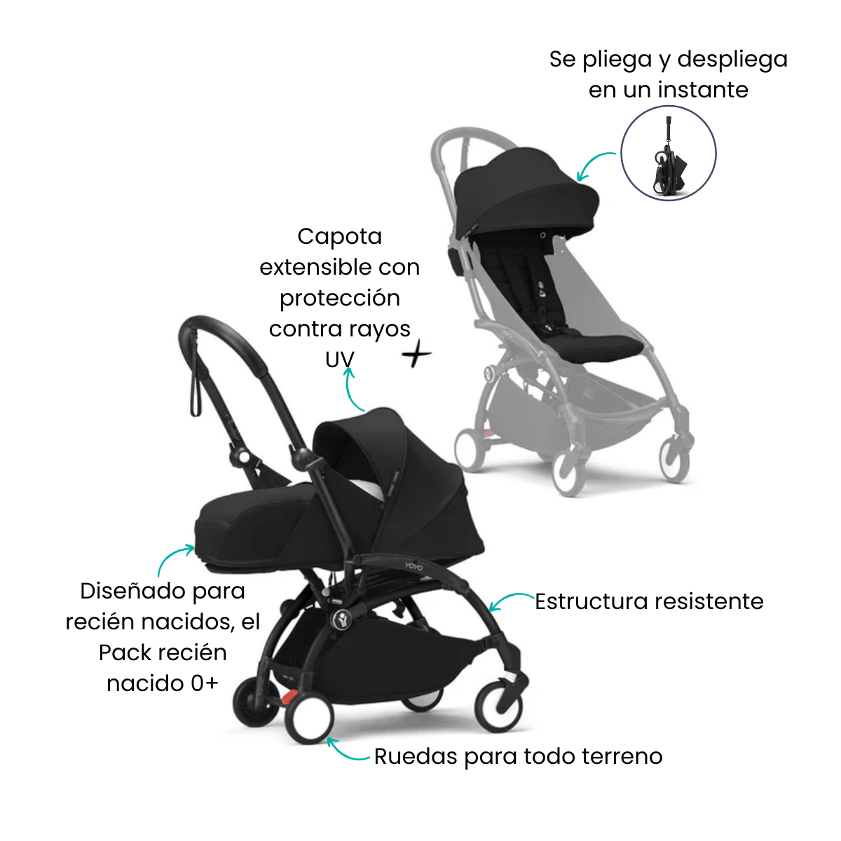 Características