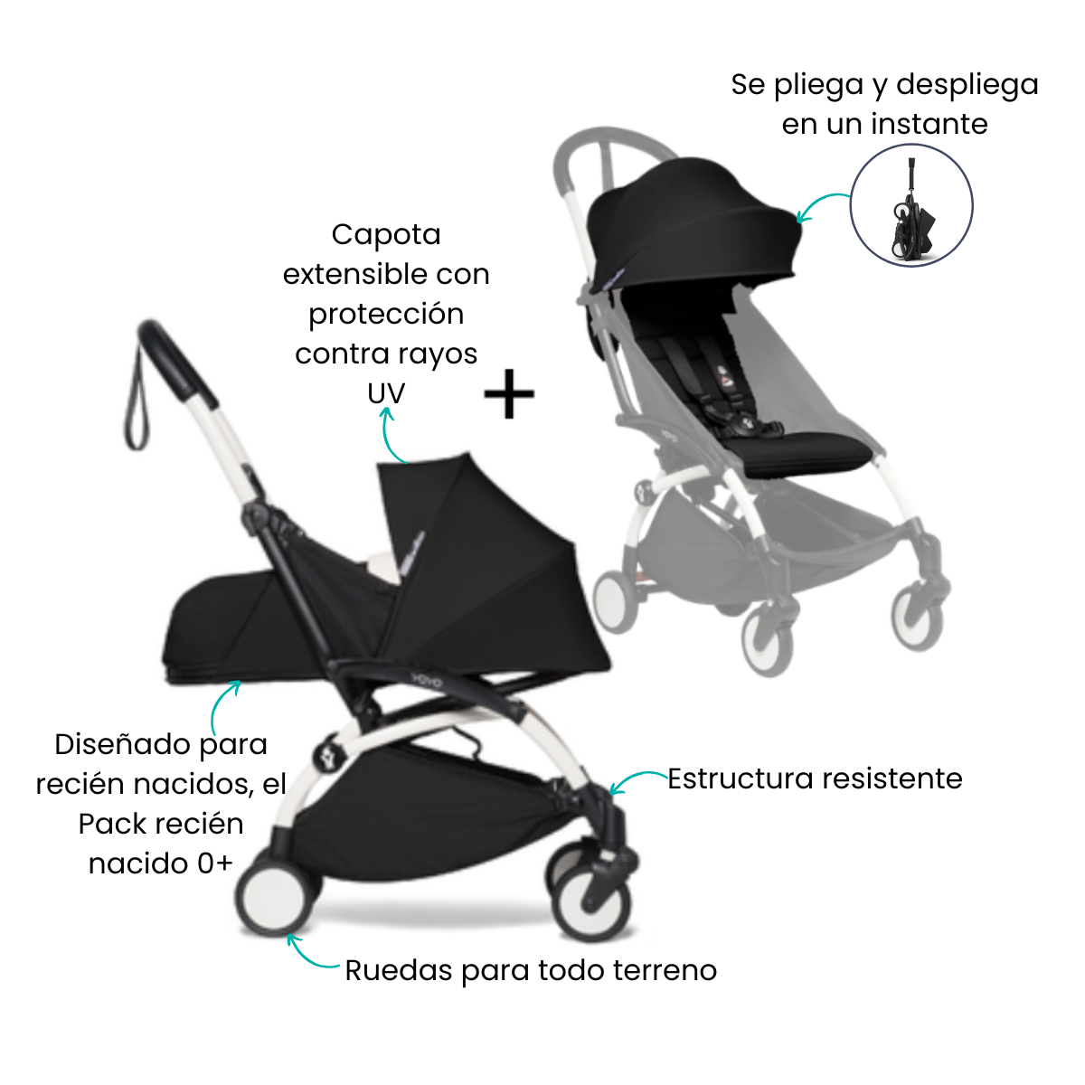 Características