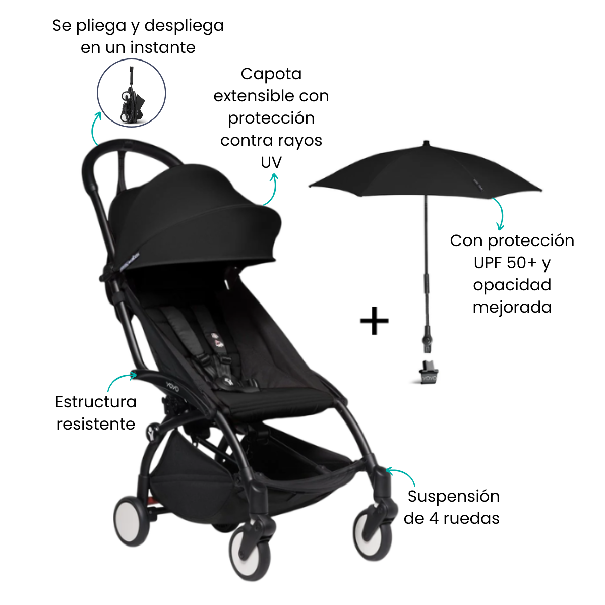 Características