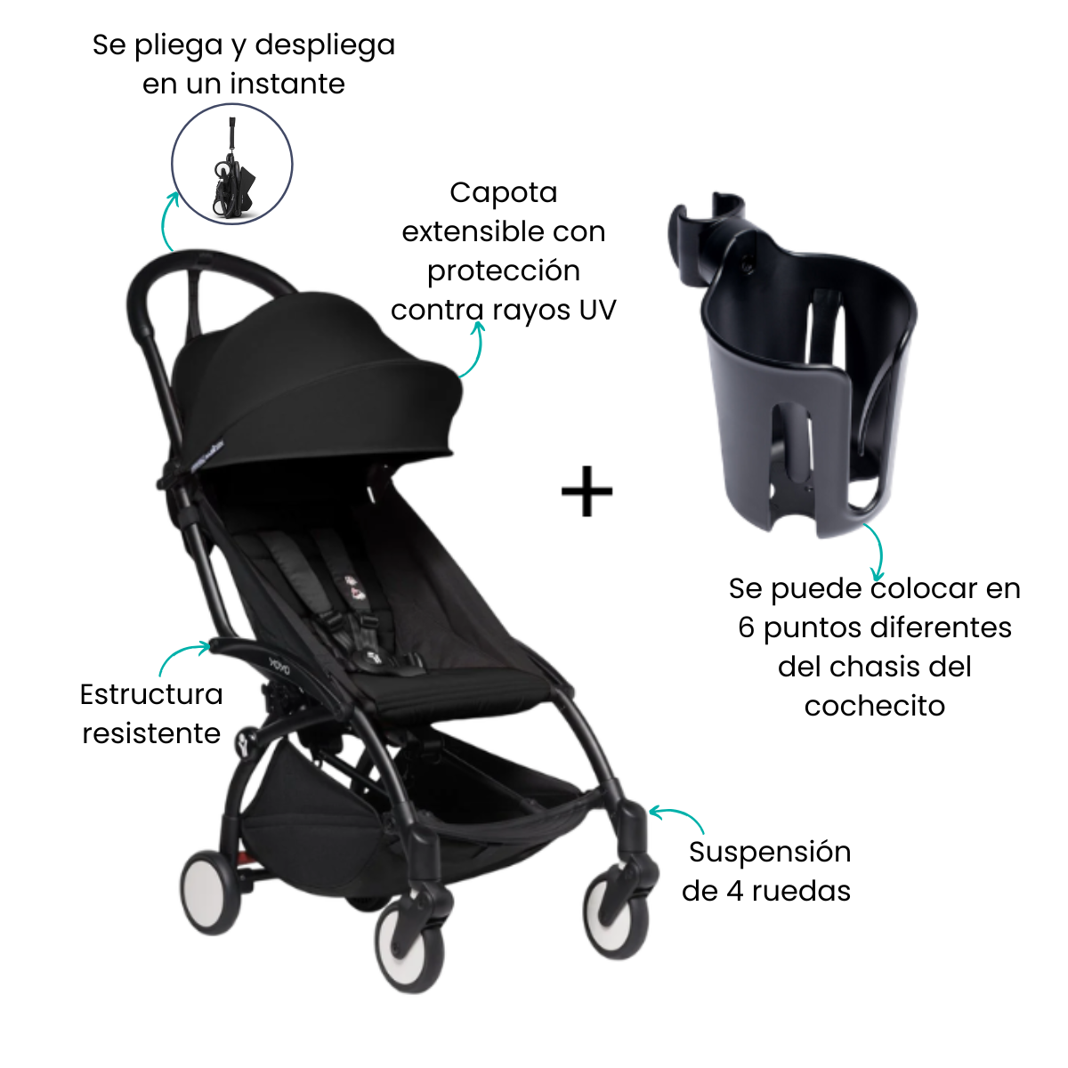 Características