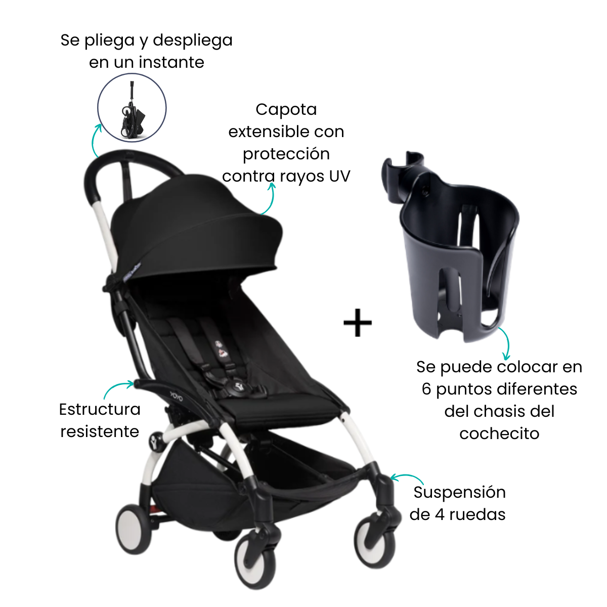 Características