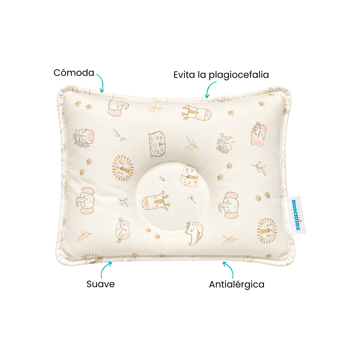 Características