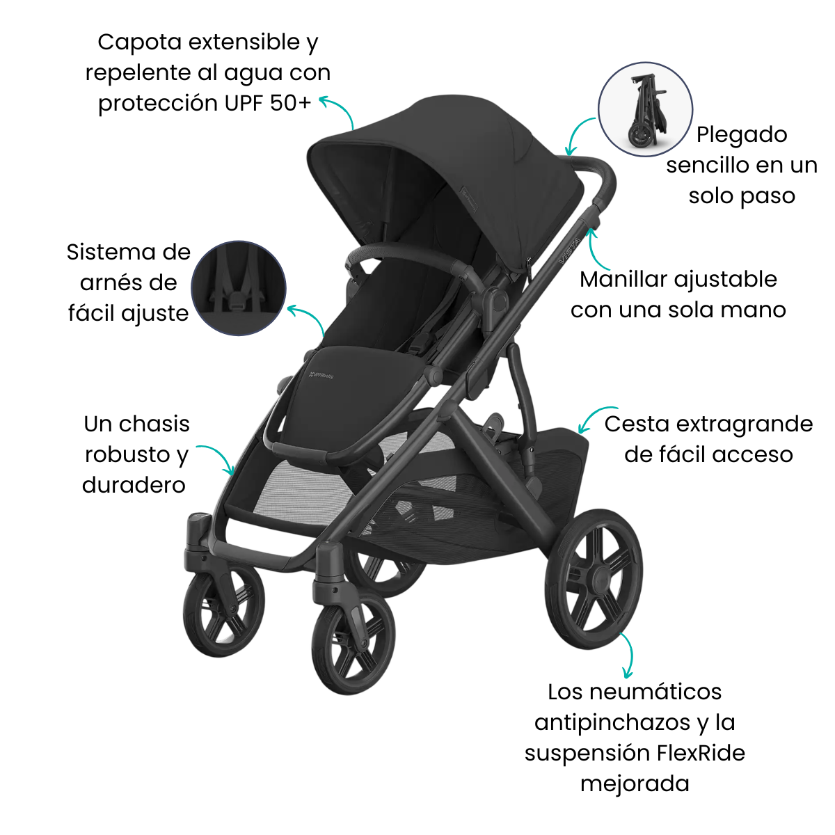 Características