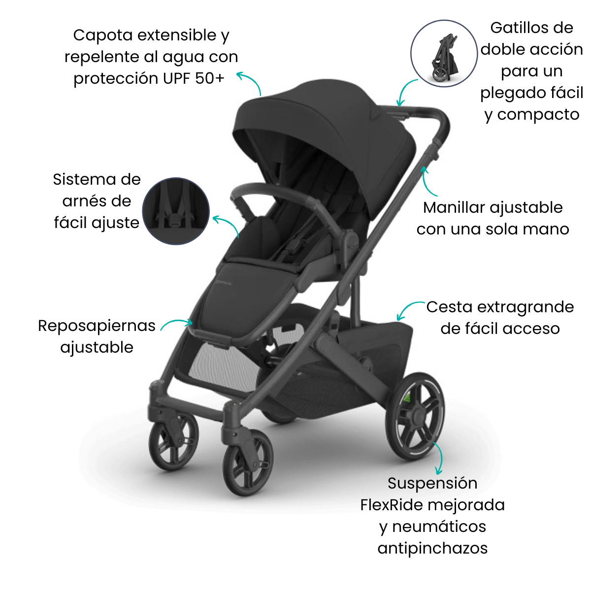 Características