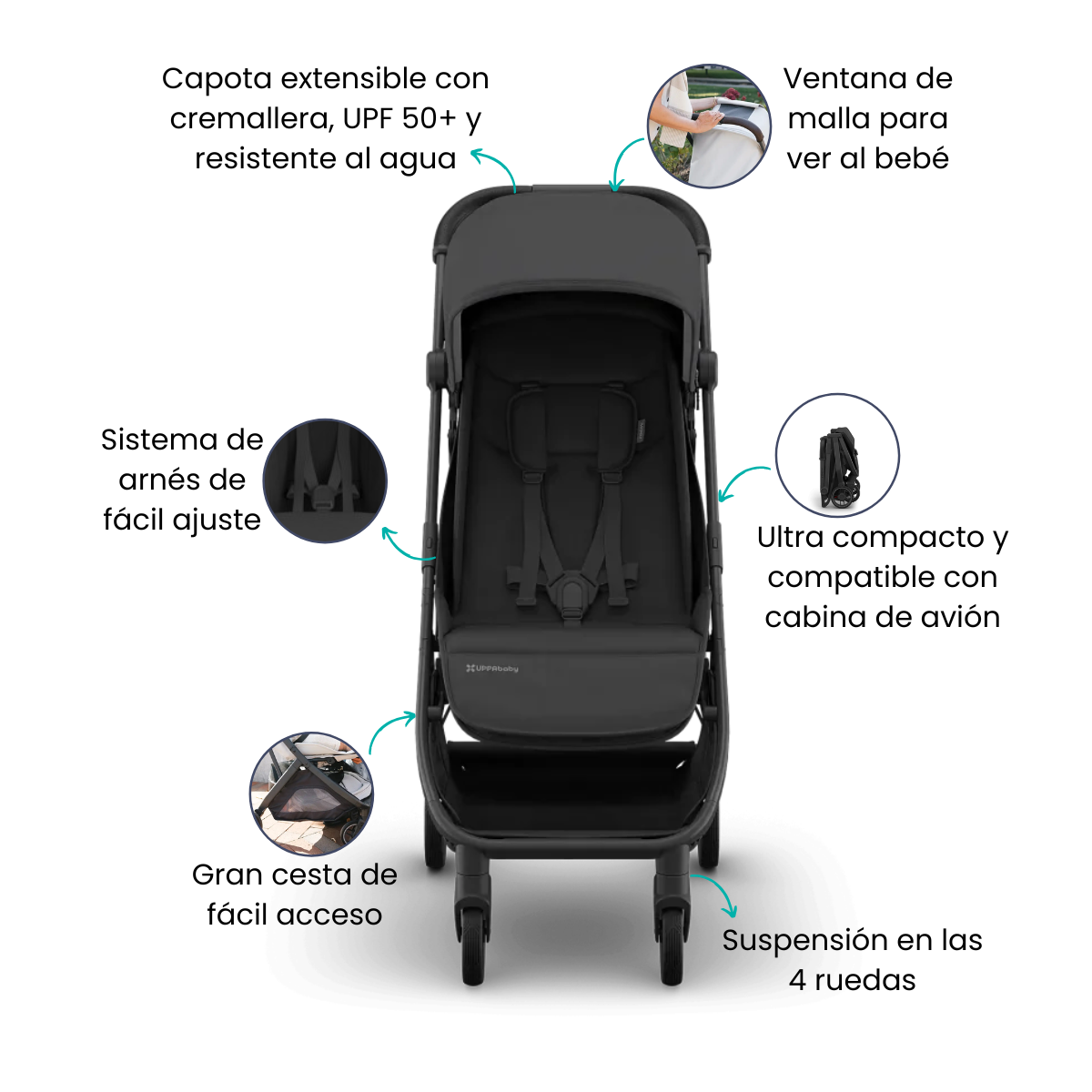 Características