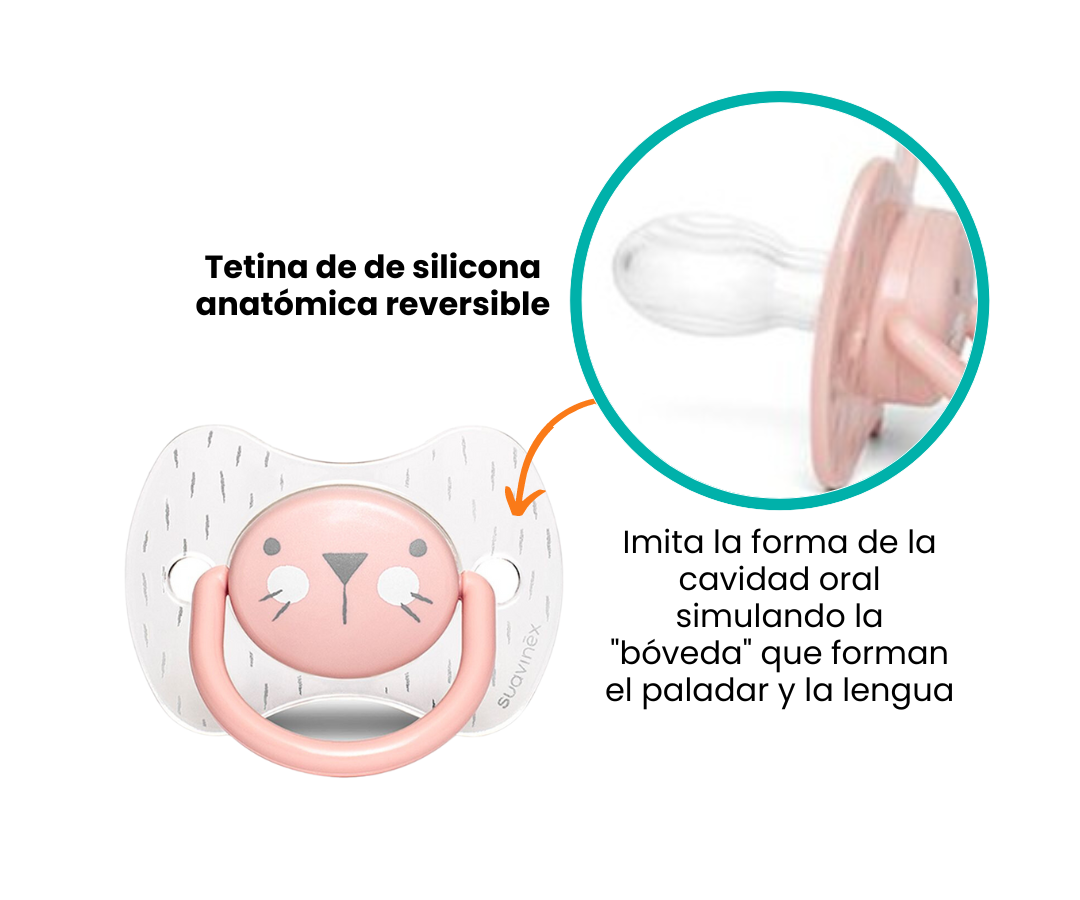 Características