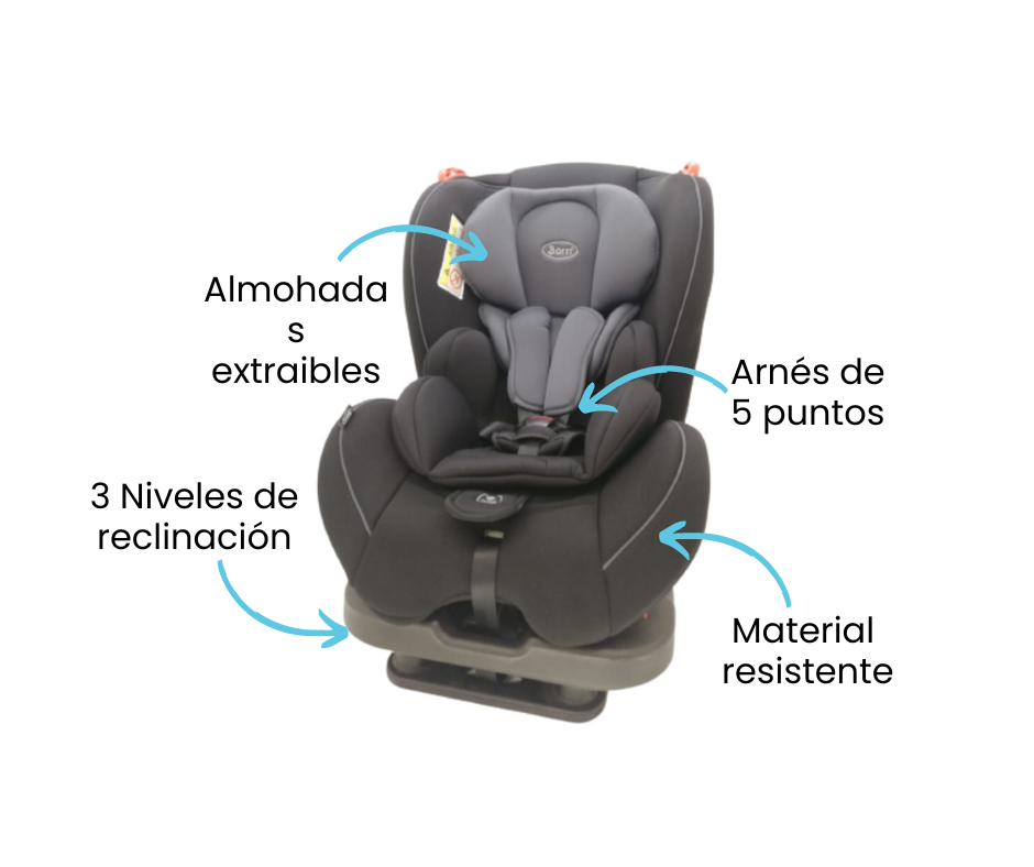 Características