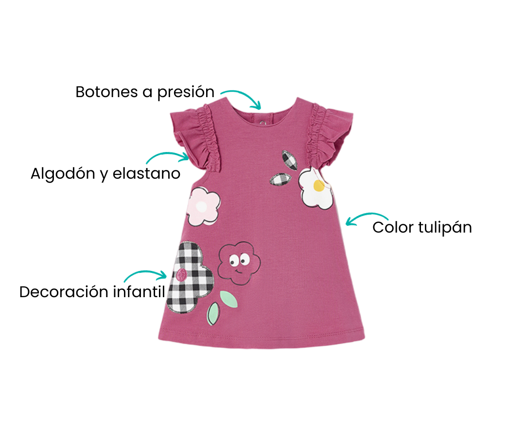 Características