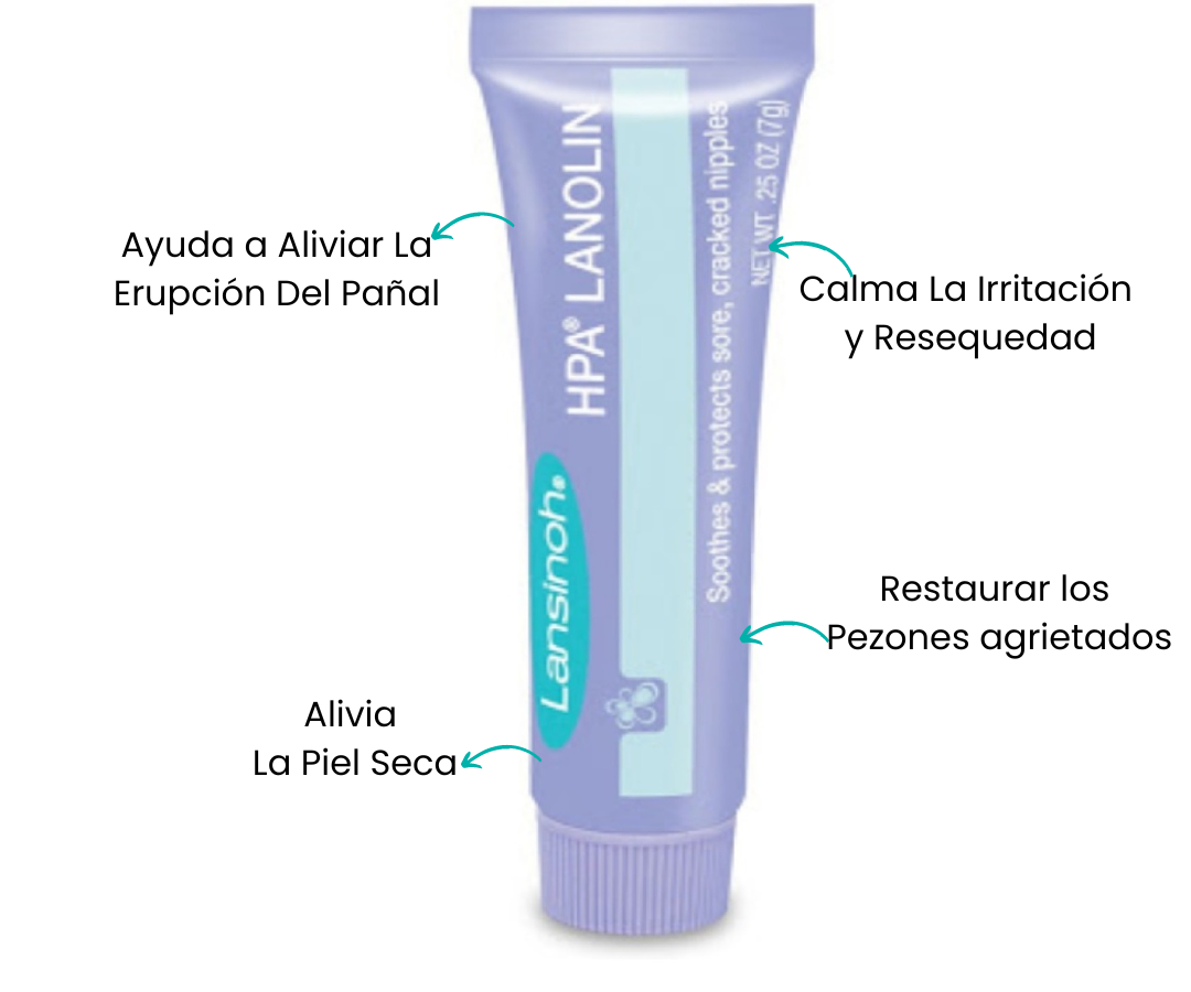 Características