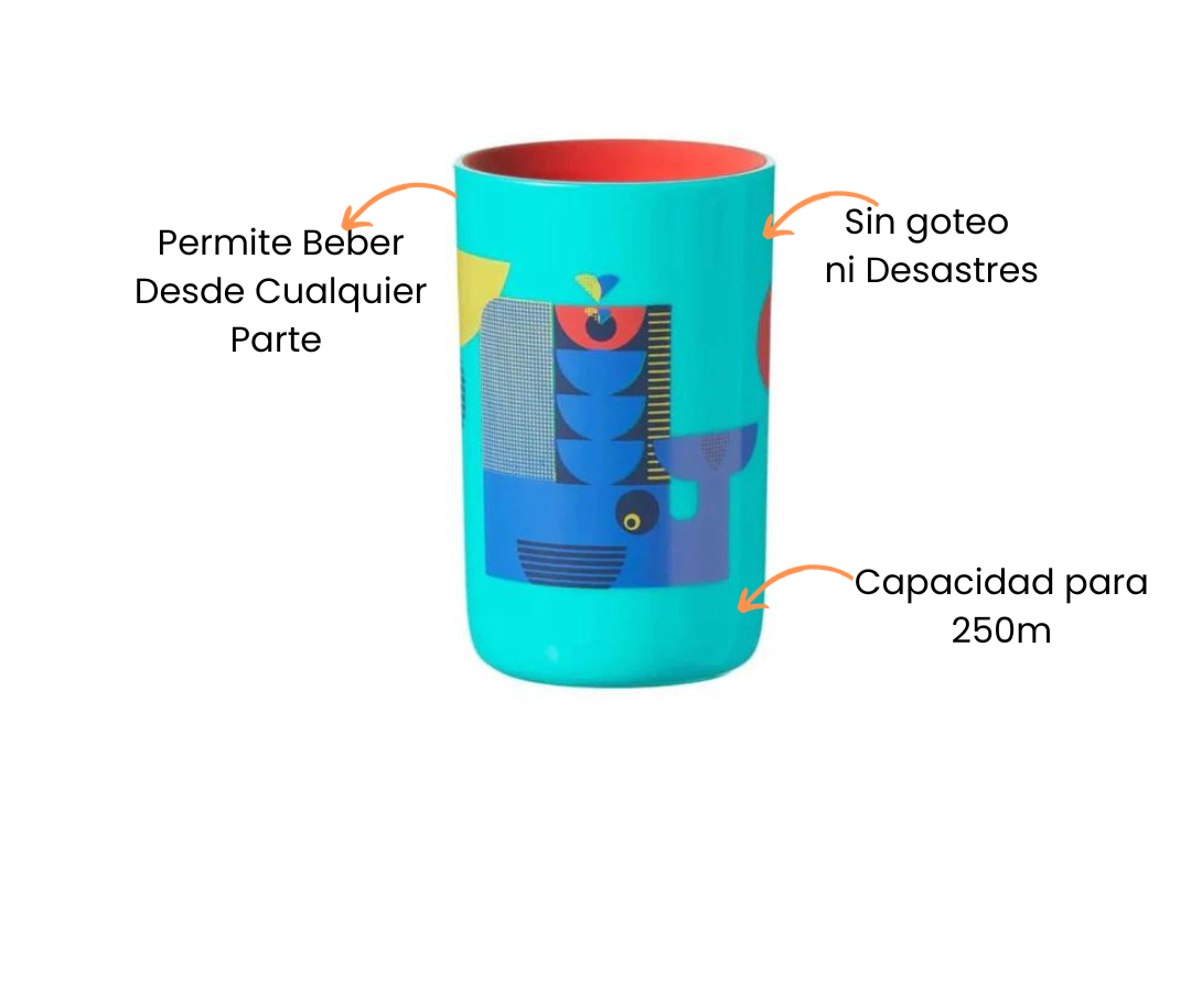 Características