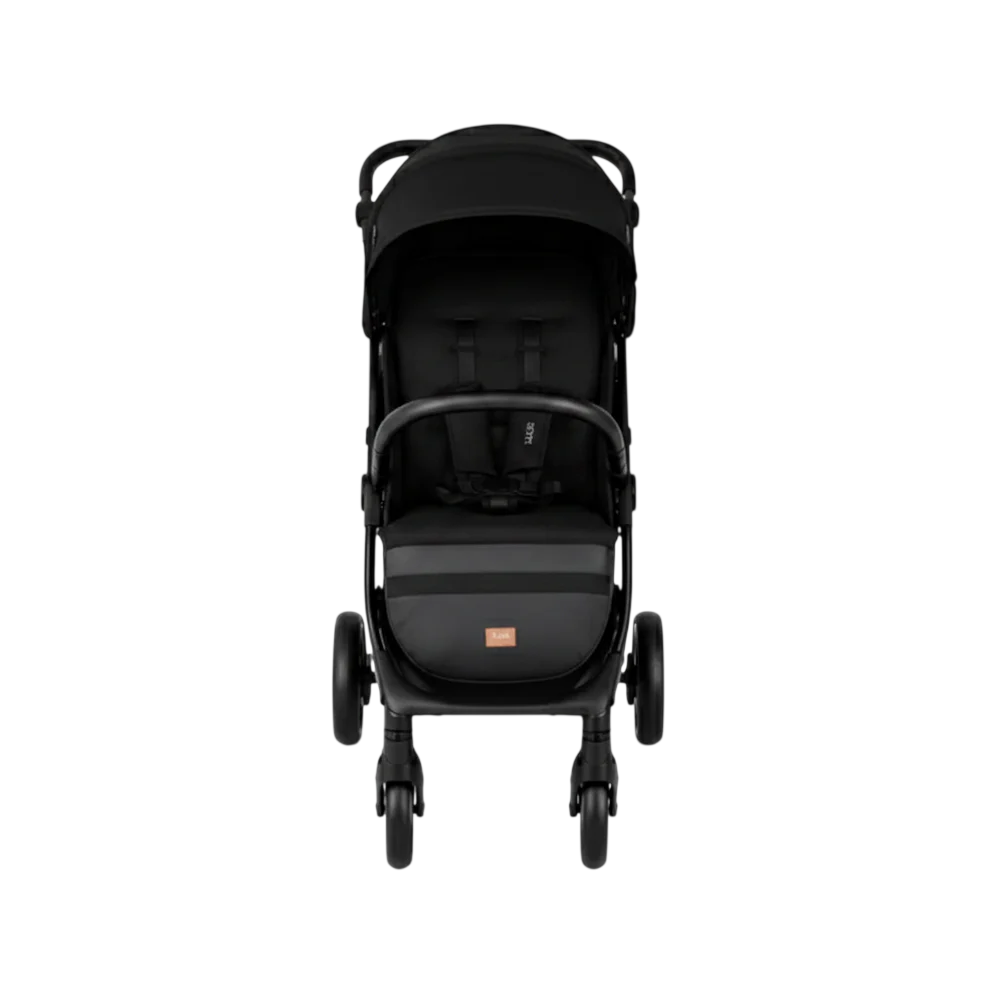 Coche Travel System Lion Bogen Born Dlx