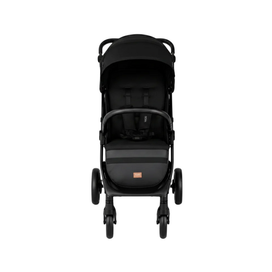 Coche Travel System Lion Bogen Born Dlx
