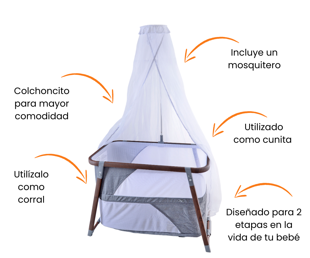 Características
