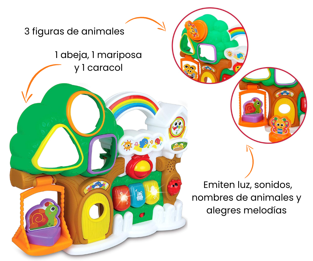 Características