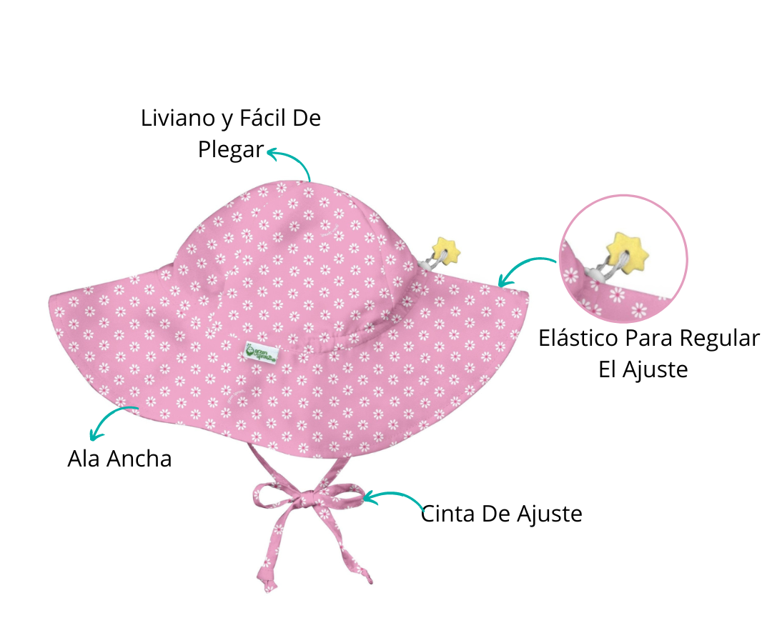Características