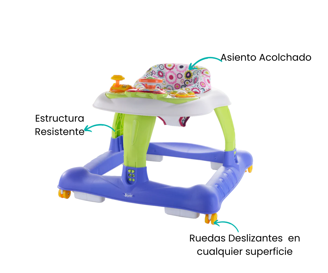 Características