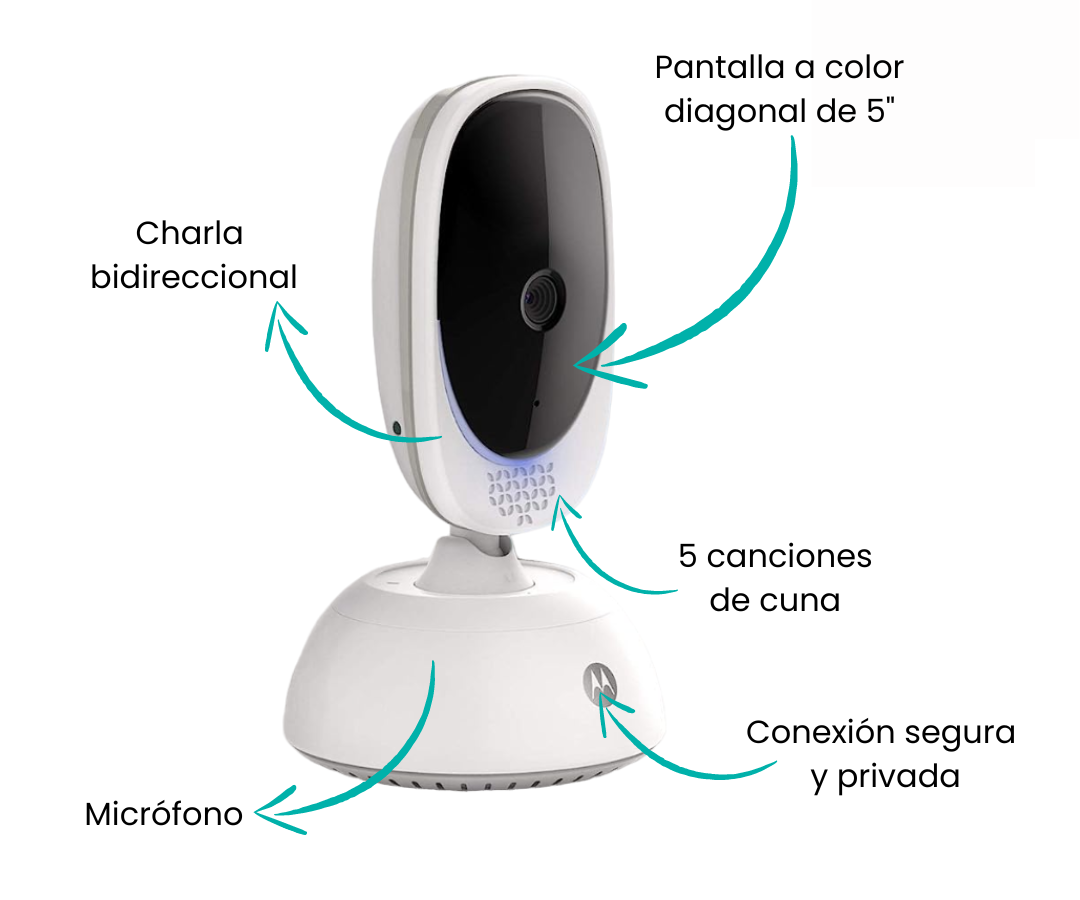Características