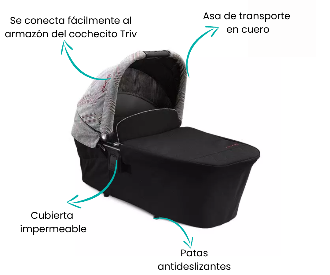 Características